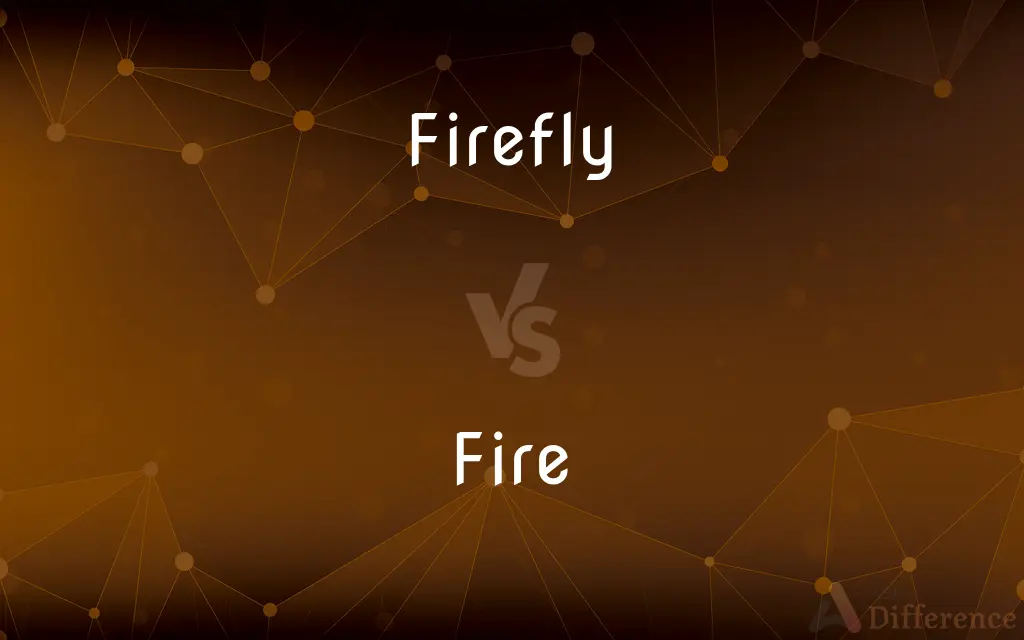 Firefly vs. Fire — What's the Difference?
