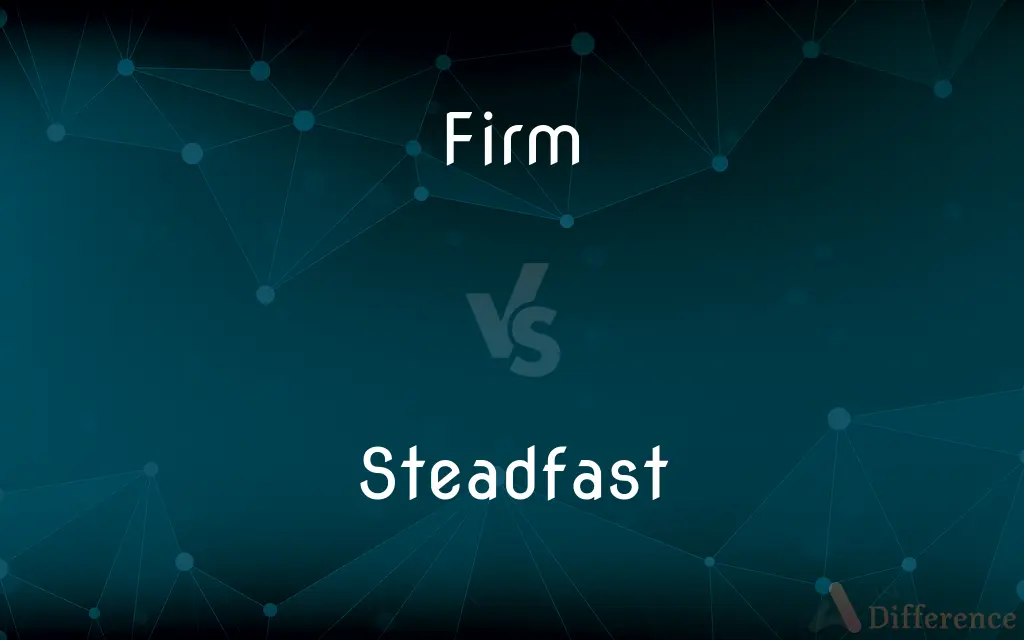 Firm vs. Steadfast — What's the Difference?