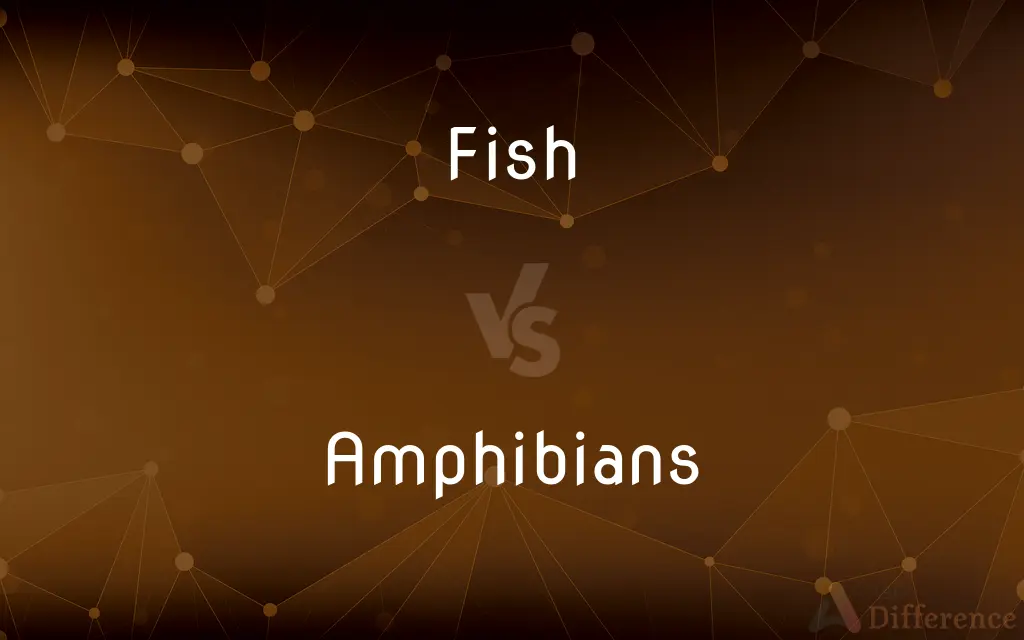 Fish vs. Amphibians — What's the Difference?
