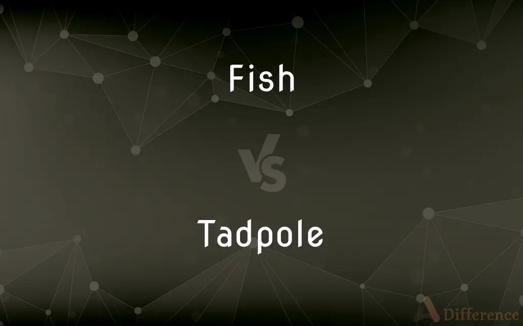 Fish vs. Tadpole — What's the Difference?