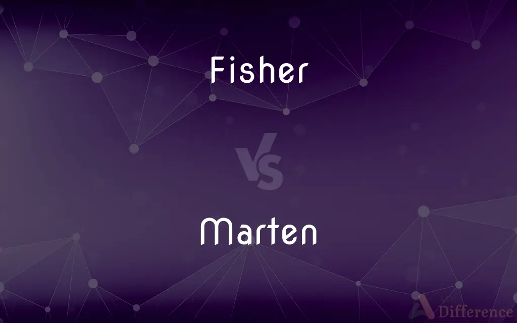 Fisher vs. Marten — What's the Difference?
