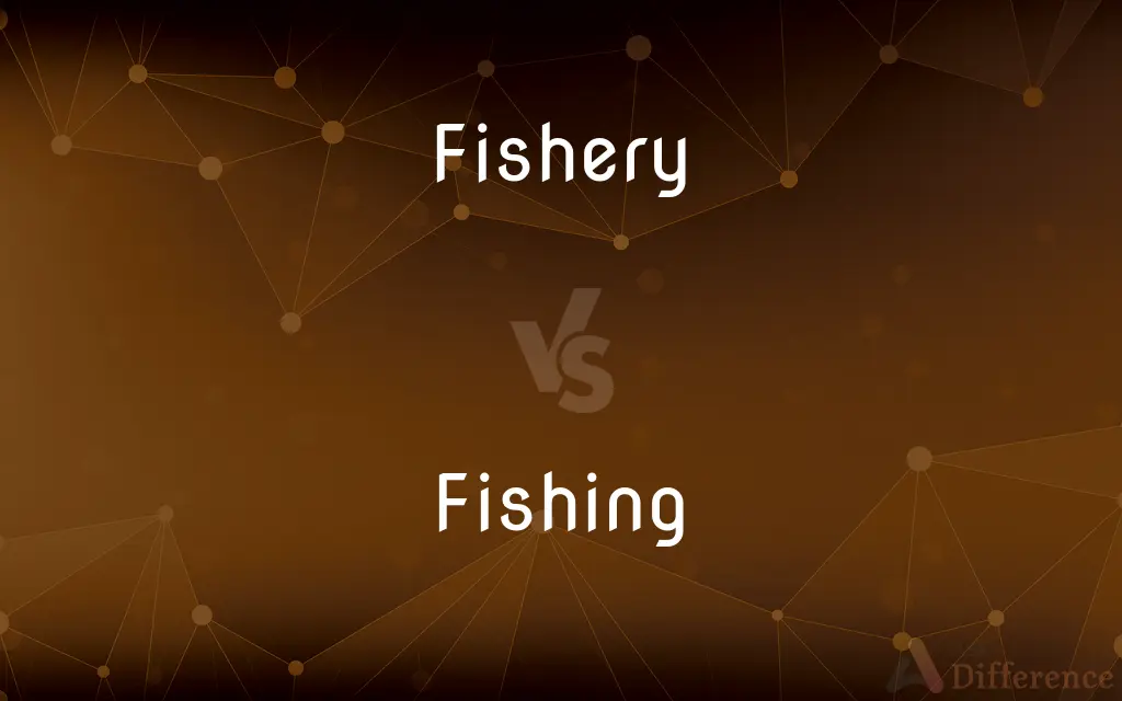 Fishery vs. Fishing — What's the Difference?