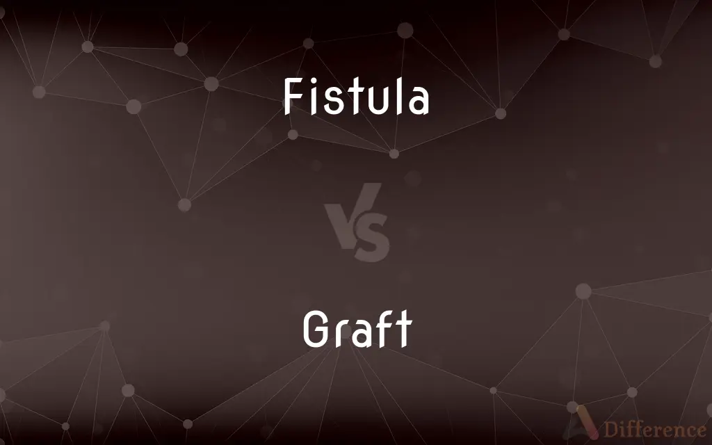 Fistula vs. Graft — What's the Difference?