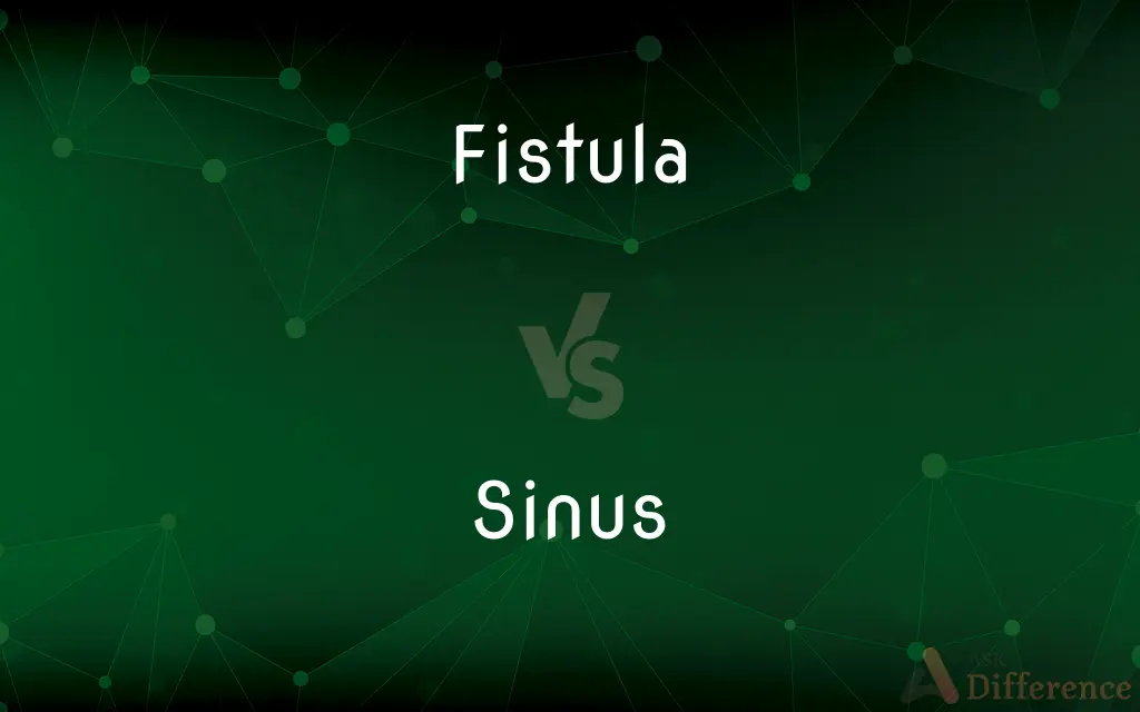 Fistula vs. Sinus — What's the Difference?