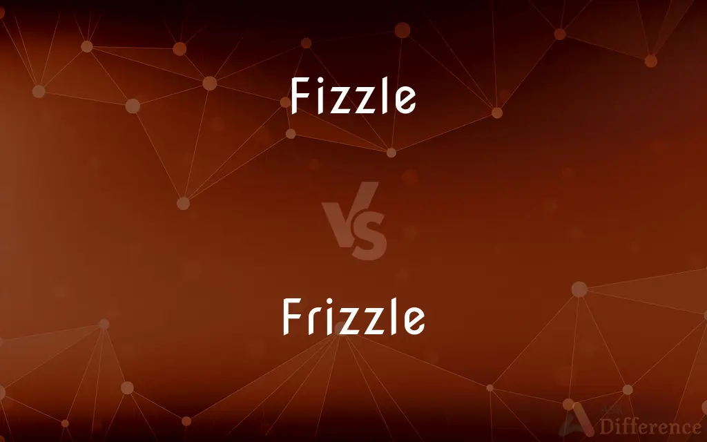 Fizzle vs. Frizzle — What's the Difference?