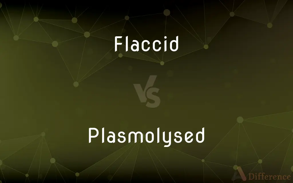 Flaccid vs. Plasmolysed — What's the Difference?