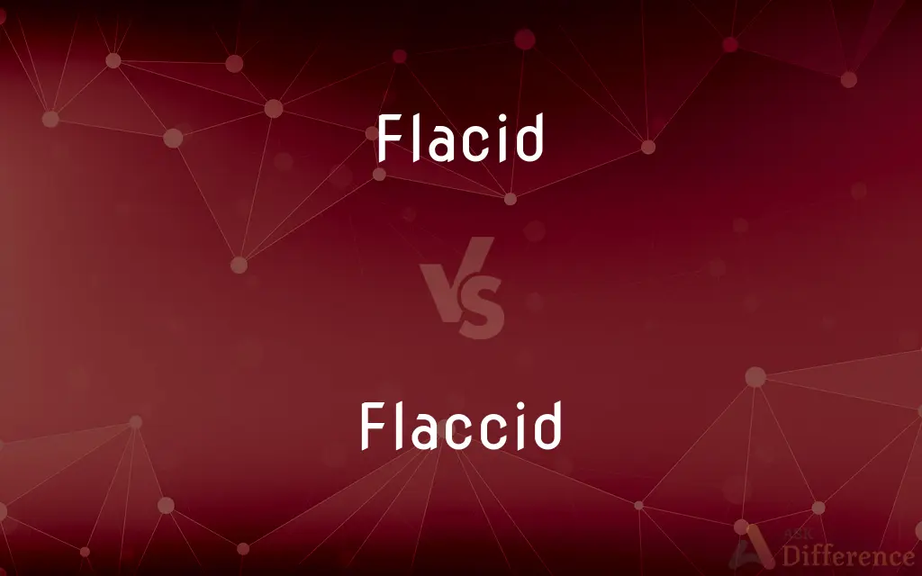 Flacid vs. Flaccid — Which is Correct Spelling?