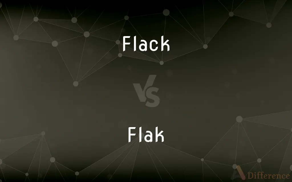 Flack vs. Flak — What's the Difference?