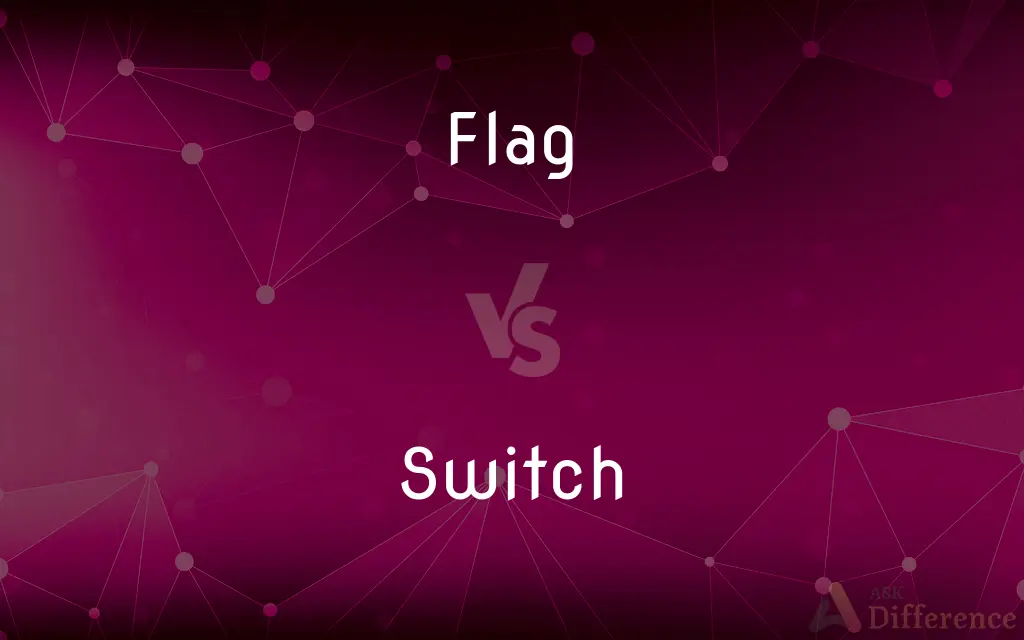 Flag vs. Switch — What's the Difference?