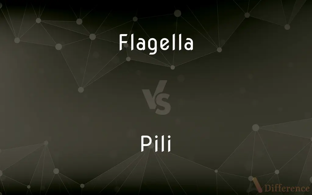 Flagella vs. Pili — What's the Difference?