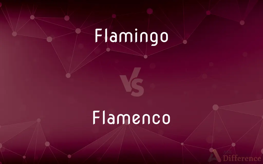 Flamingo vs. Flamenco — What's the Difference?