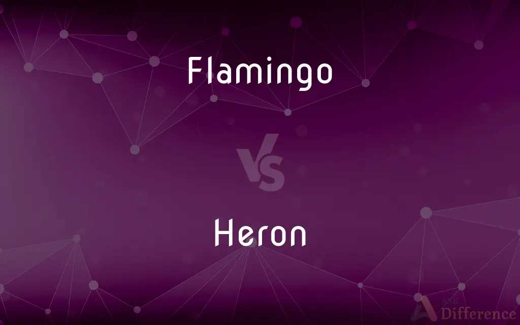 Flamingo vs. Heron — What's the Difference?