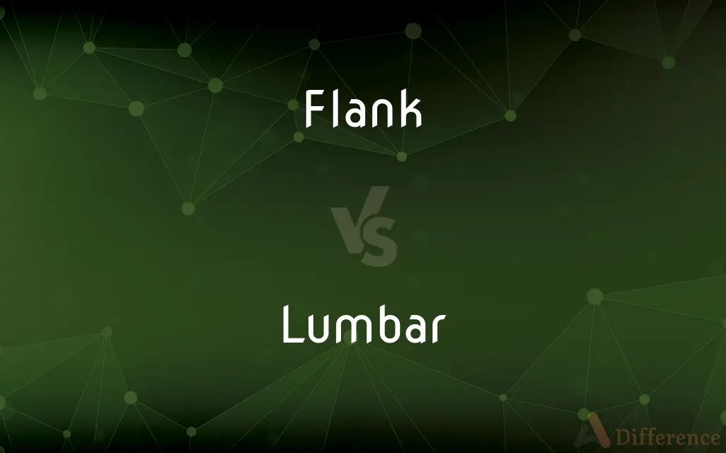 Flank vs. Lumbar — What's the Difference?