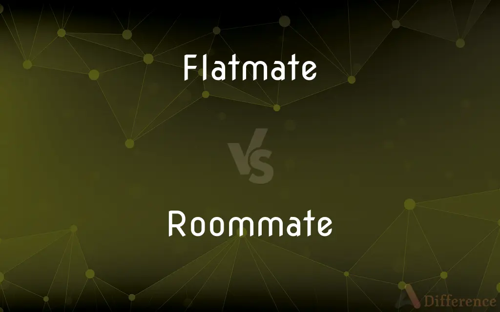 Flatmate vs. Roommate — What's the Difference?