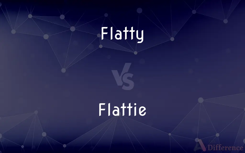 Flatty vs. Flattie — What's the Difference?