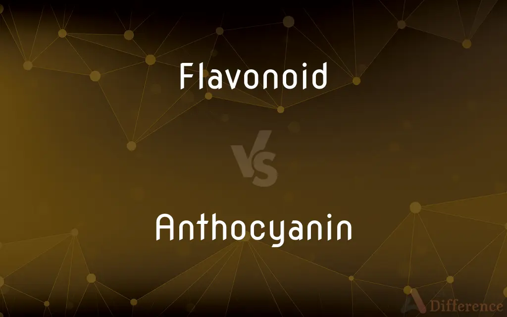 Flavonoid vs. Anthocyanin — What's the Difference?