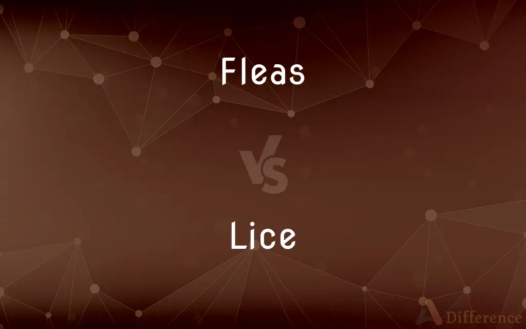 Fleas vs. Lice — What's the Difference?