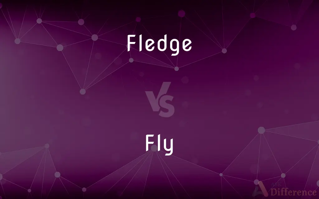 Fledge vs. Fly — What's the Difference?
