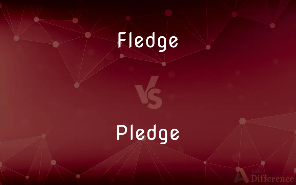 Fledge vs. Pledge — What's the Difference?
