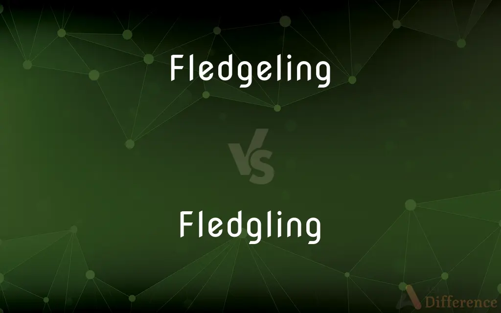 Fledgeling vs. Fledgling — Which is Correct Spelling?
