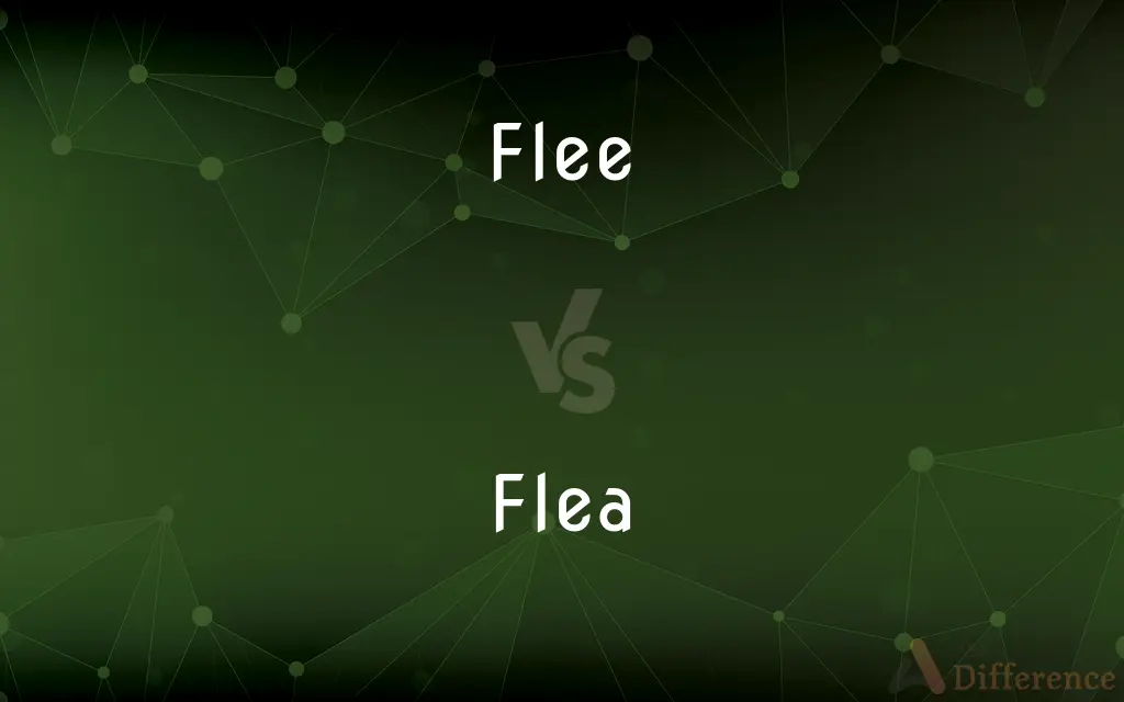 Flee vs. Flea — What's the Difference?