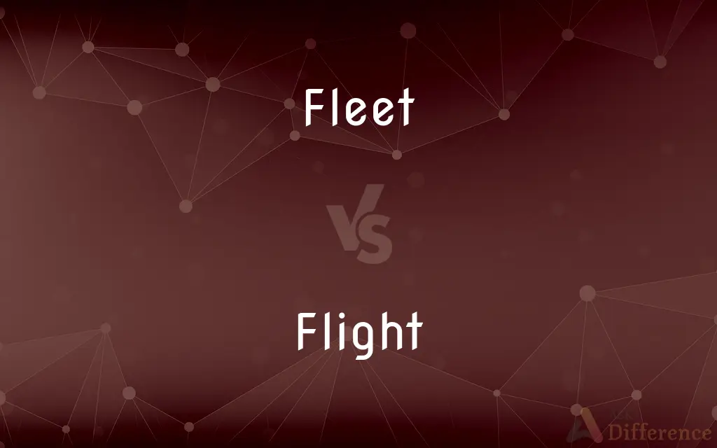 Fleet vs. Flight — What's the Difference?