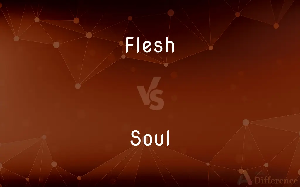 Flesh vs. Soul — What's the Difference?