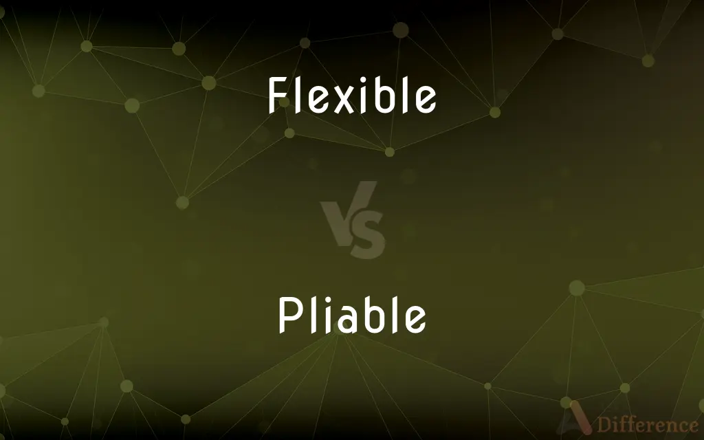 Flexible vs. Pliable — What's the Difference?