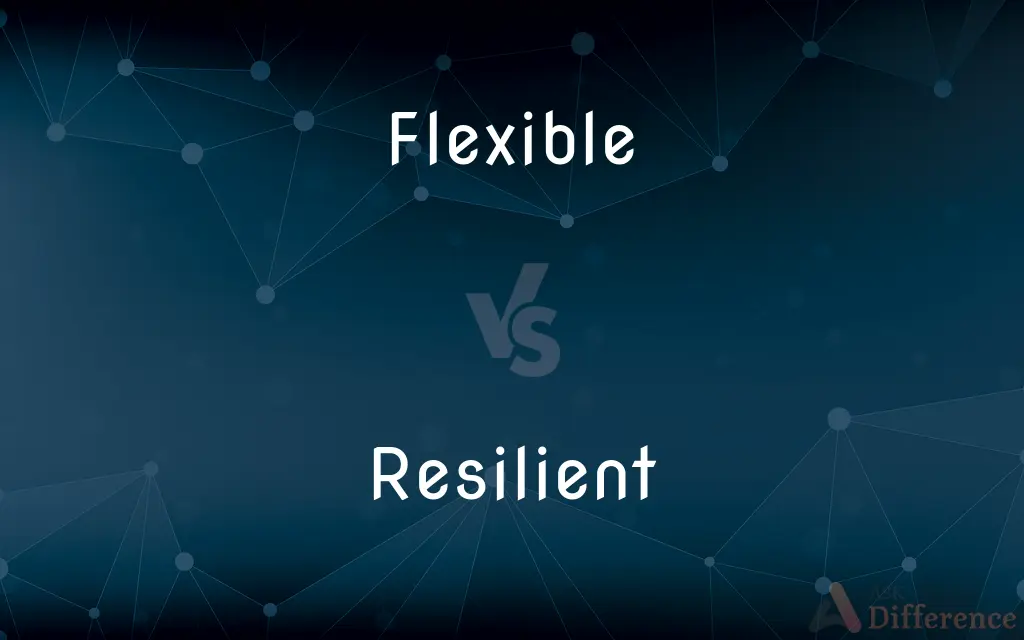 Flexible vs. Resilient — What's the Difference?