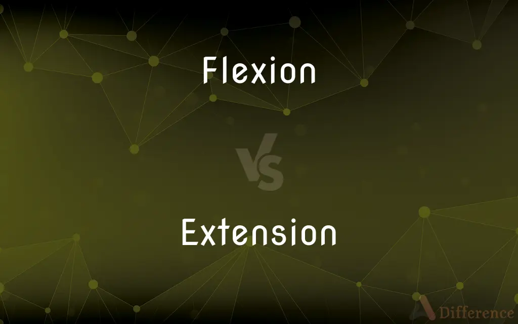 Flexion vs. Extension — What's the Difference?