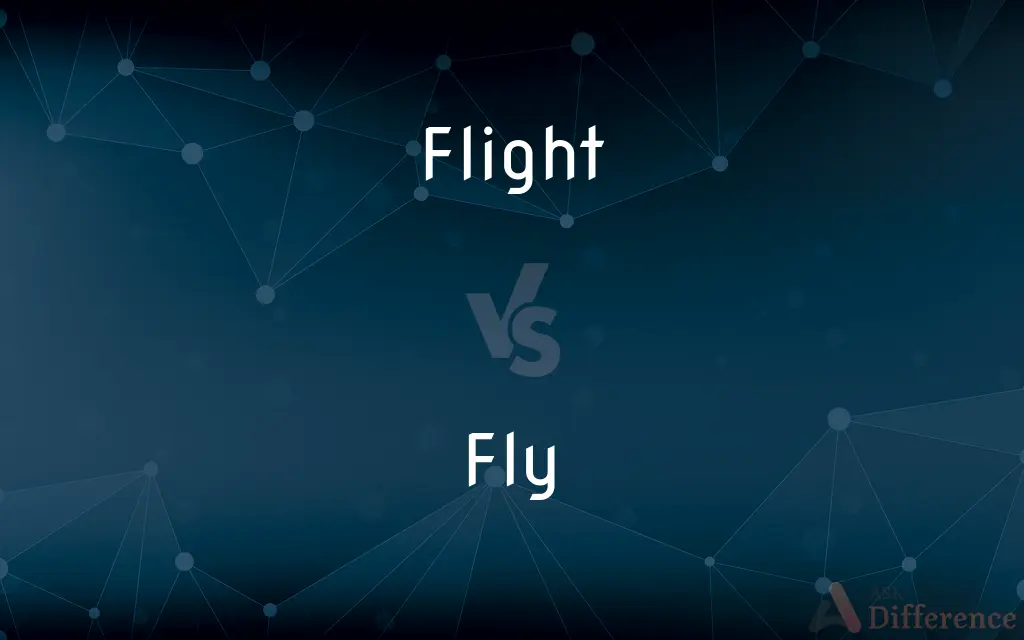 Flight vs. Fly — What's the Difference?