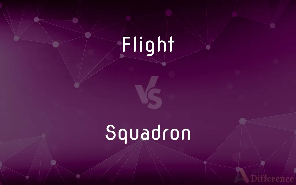 Flight vs. Squadron — What's the Difference?