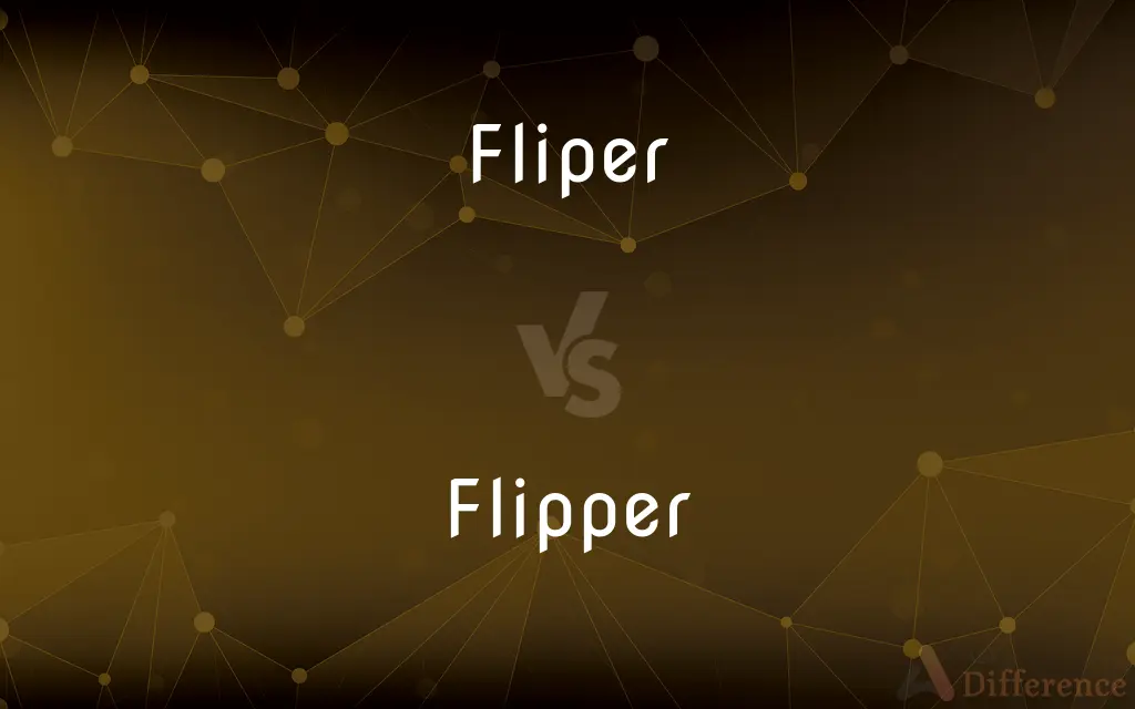 Fliper vs. Flipper — What's the Difference?