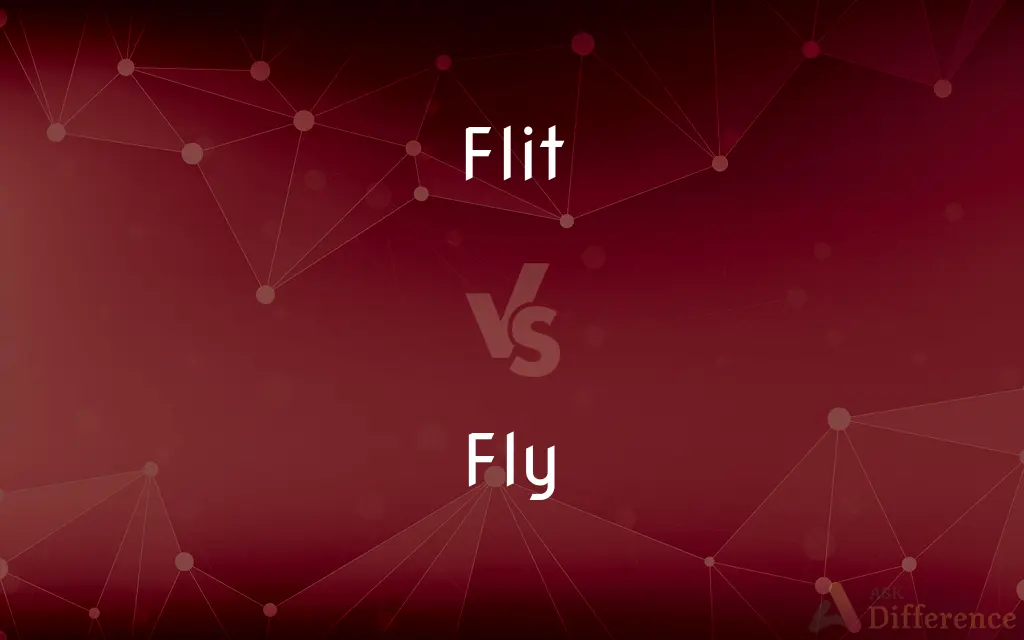Flit vs. Fly — What's the Difference?