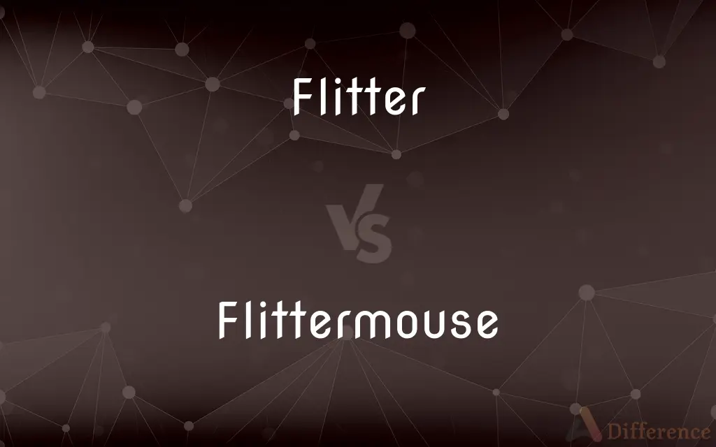 Flitter vs. Flittermouse — What's the Difference?