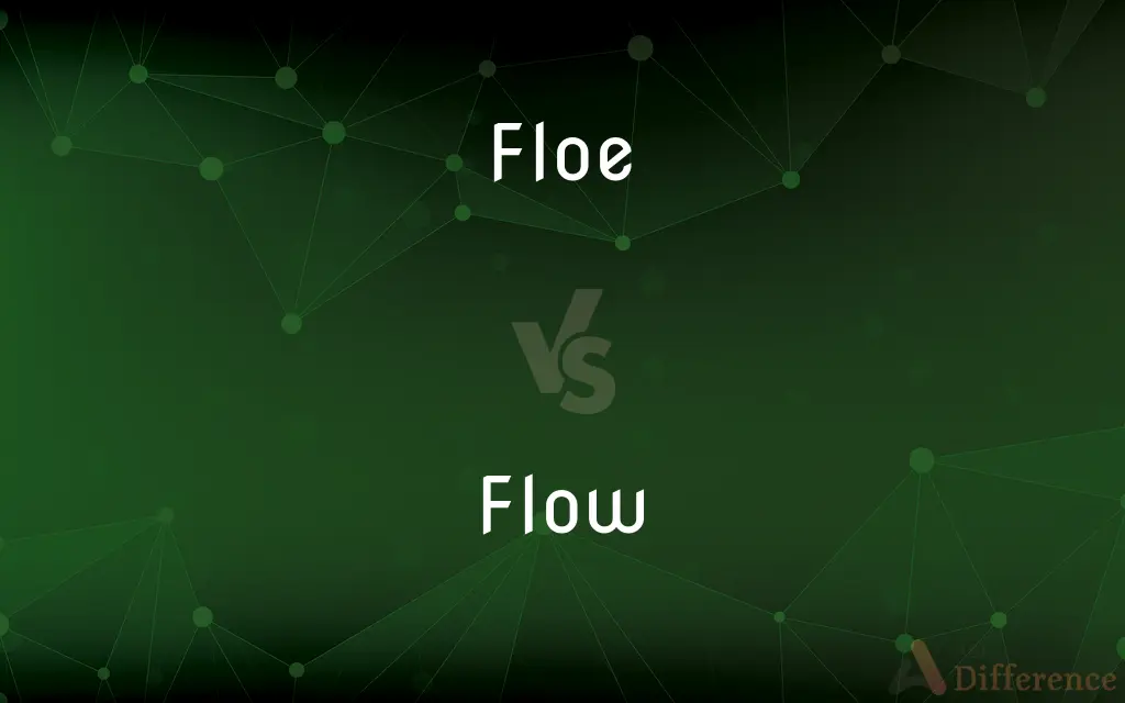 Floe vs. Flow — What's the Difference?