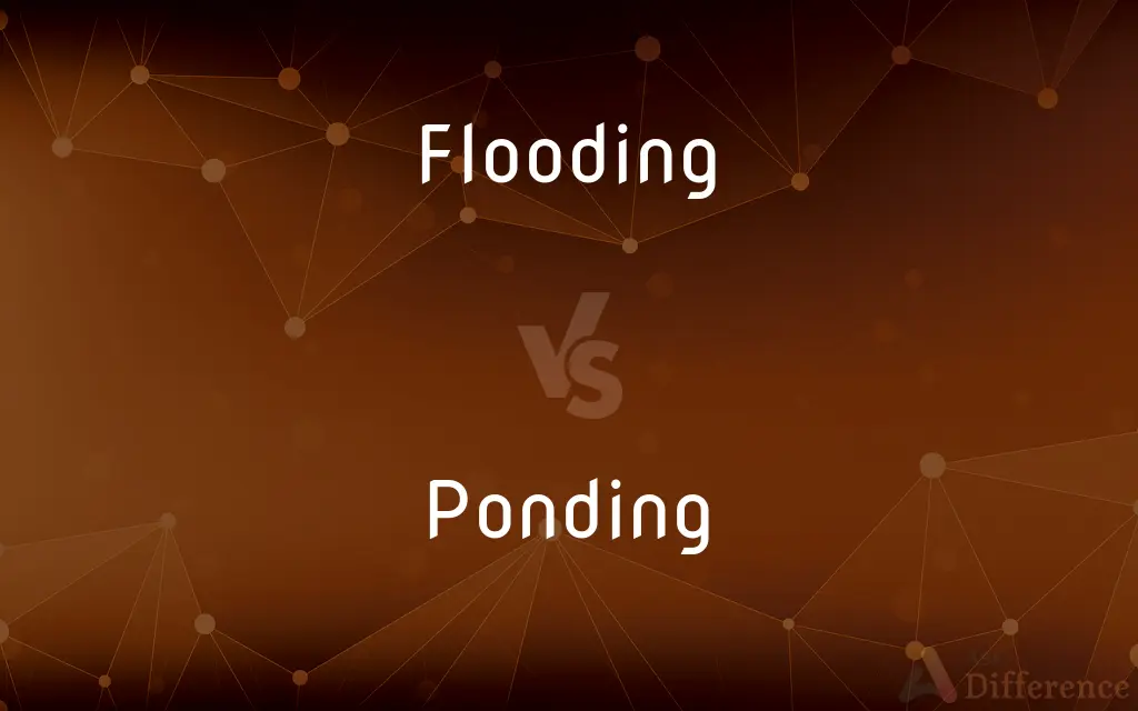 Flooding vs. Ponding — What's the Difference?