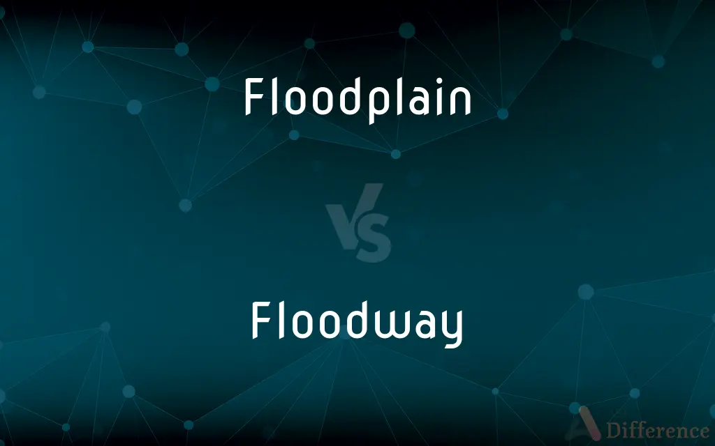 Floodplain vs. Floodway — What's the Difference?