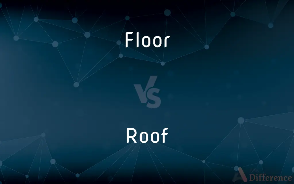 Floor vs. Roof — What's the Difference?