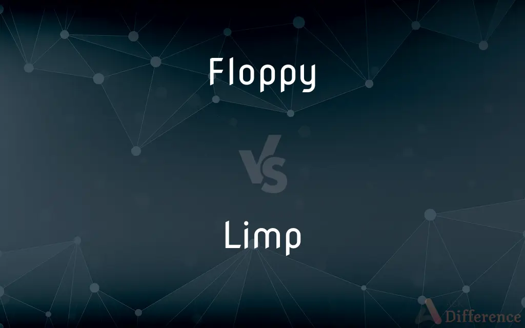 Floppy vs. Limp — What's the Difference?
