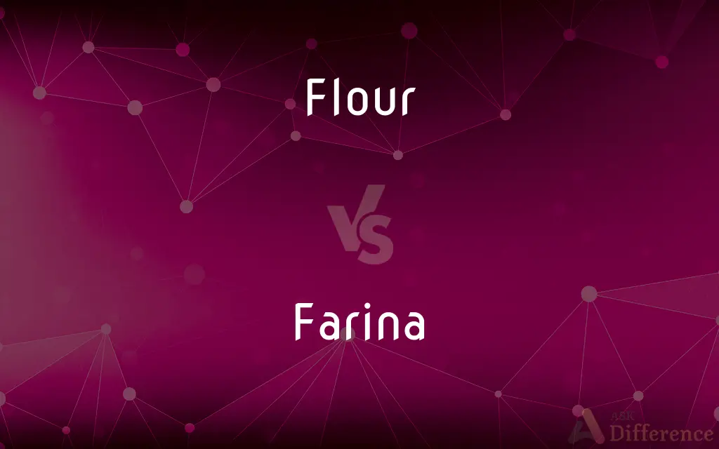 Flour vs. Farina — What's the Difference?
