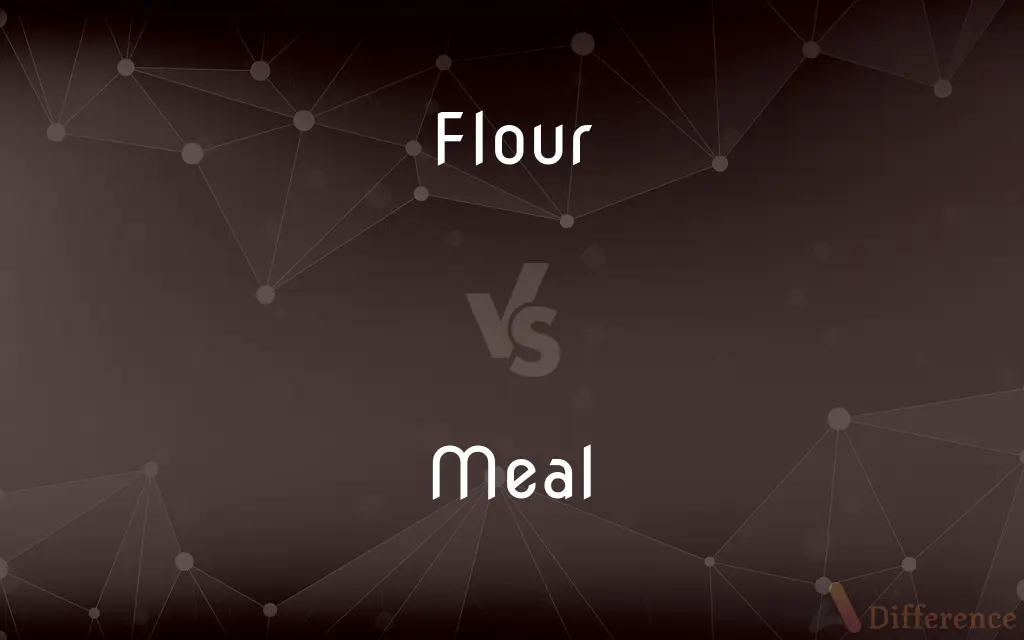 Flour vs. Meal — What's the Difference?
