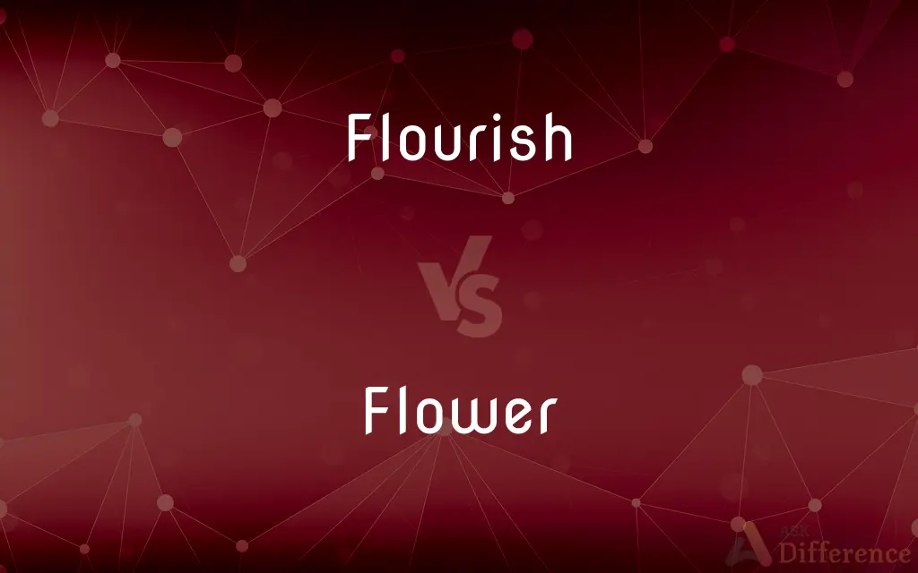 Flourish vs. Flower — What's the Difference?