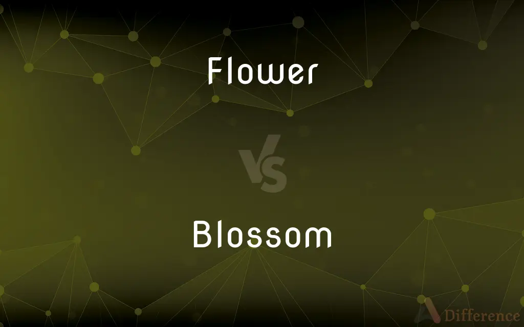 Flower vs. Blossom — What's the Difference?