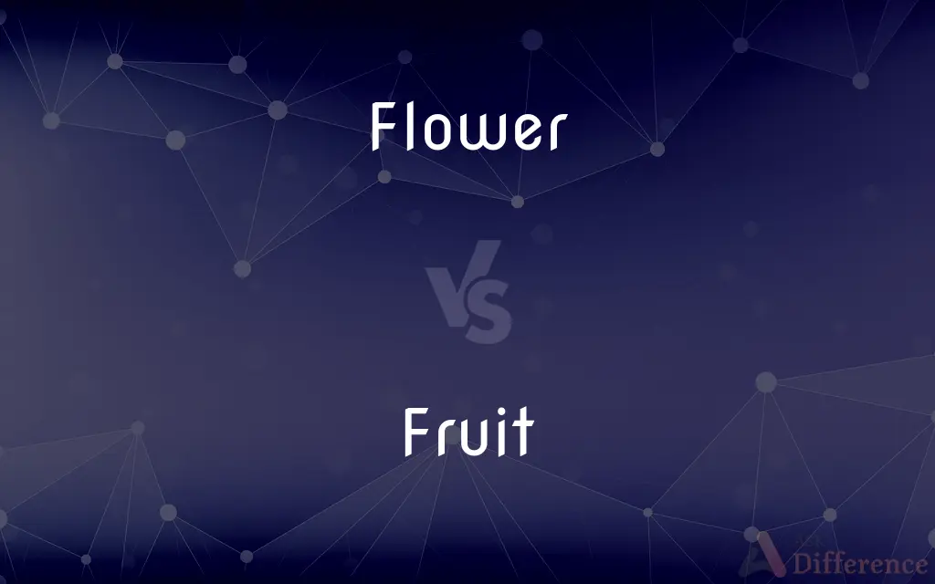 Flower vs. Fruit — What's the Difference?