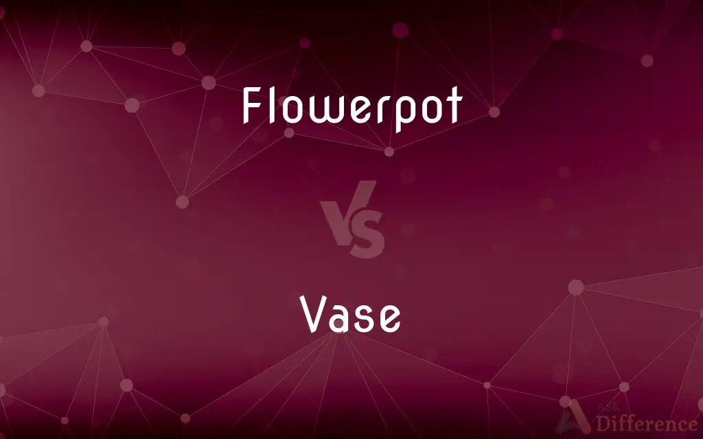 Flowerpot vs. Vase — What's the Difference?