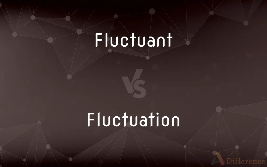 Fluctuant vs. Fluctuation — What's the Difference?