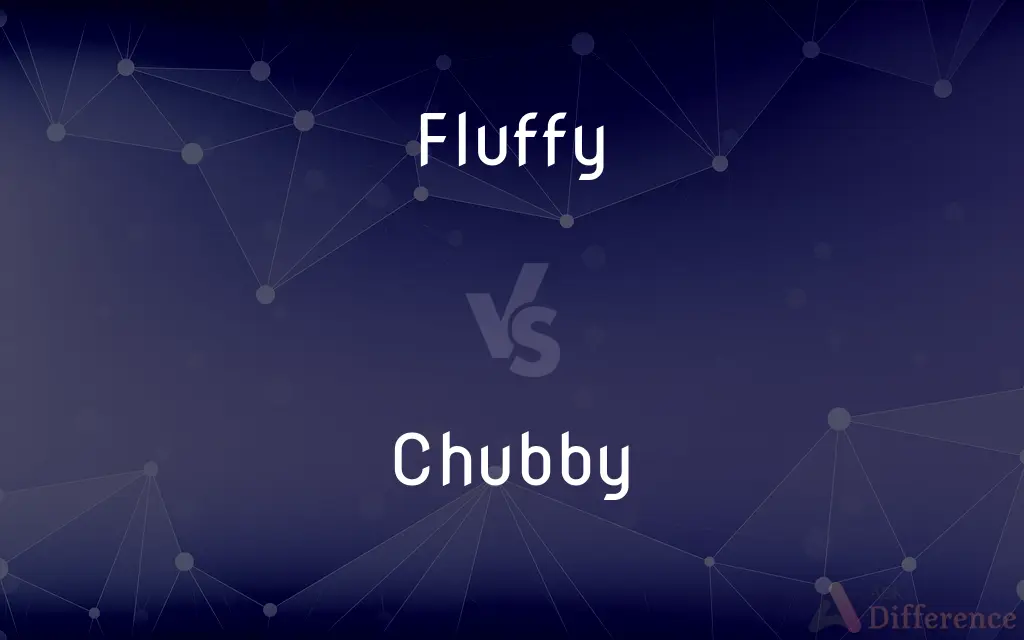 Fluffy vs. Chubby — What's the Difference?