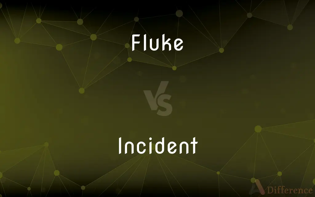 Fluke vs. Incident — What's the Difference?