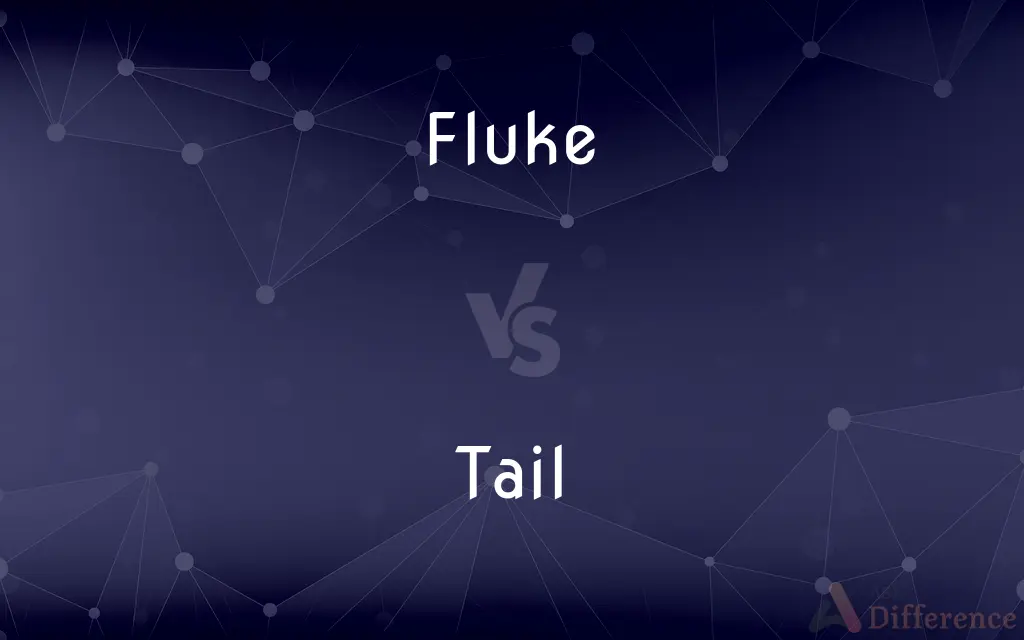 Fluke vs. Tail — What's the Difference?